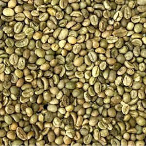 |1KG| Cà phê nhân xanh ROBUSTA GRADE 1 – Xuất khẩu | HẠT GIỐNG TỐT EXPORT